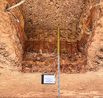 Cover Depth Investigation